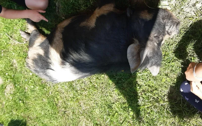 20230601_115722.jpg